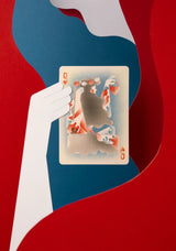 The Ultimate Deck