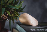 Wood Oloid Geometric Object
