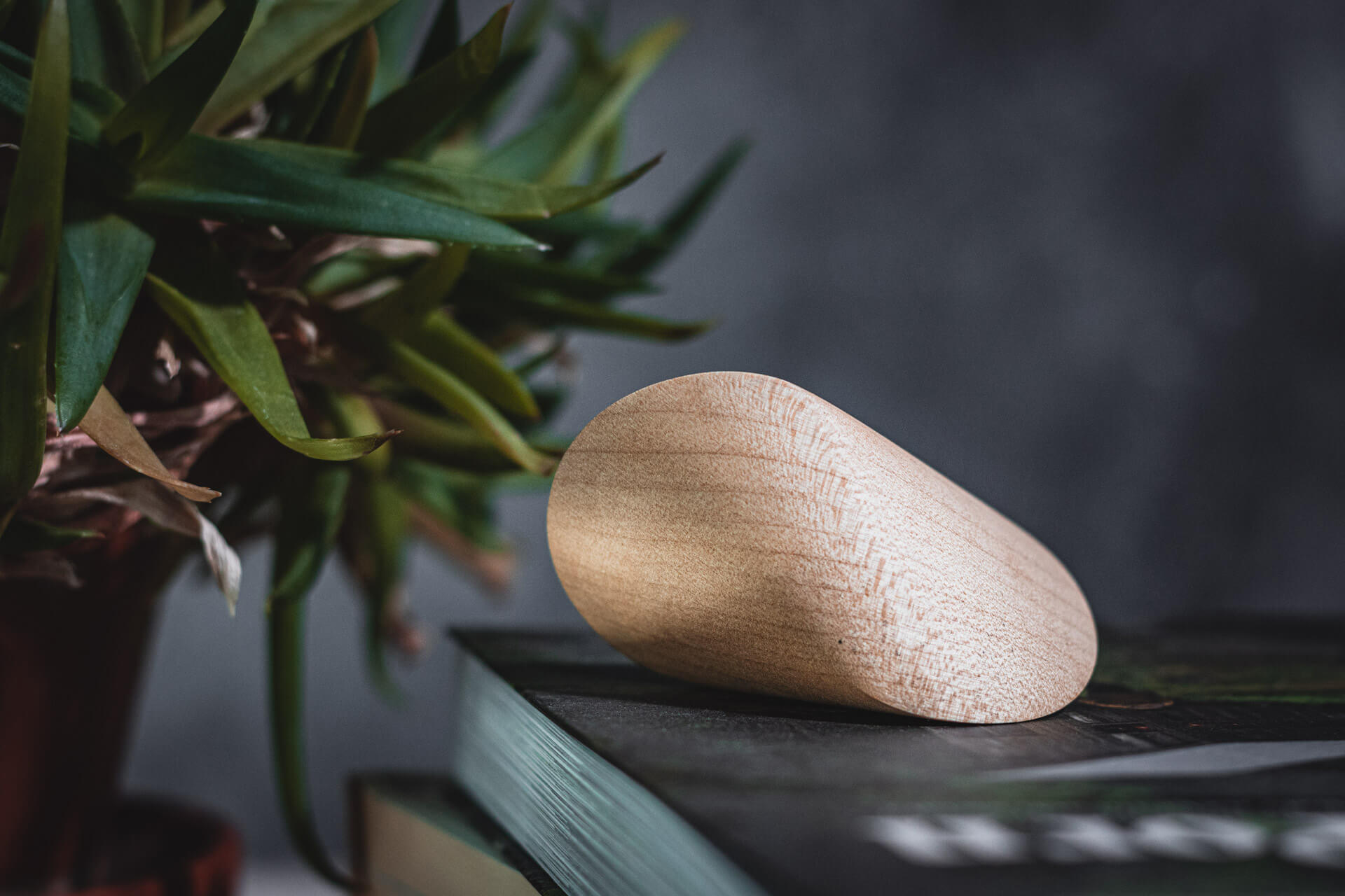 Wood Oloid Geometric Object