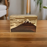 Akafuji Puzzle Box