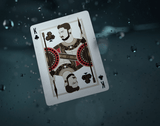 Black Panther Playing Cards