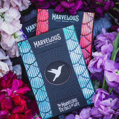 Hummingbird Feathers Playing Cards